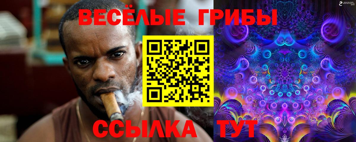 Псилоцибиновые грибы Cubensis  Вход с VPN  Южно-Сахалинск 